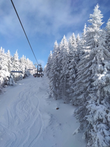 Kopaonik